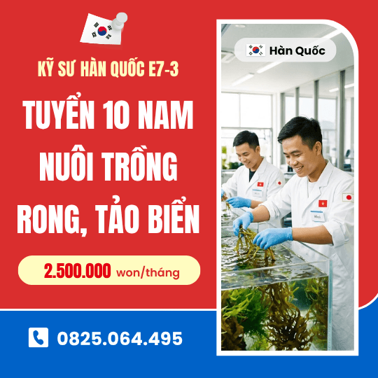 [Kỹ sư Hàn Quốc visa E7-3] Tuyển 10 nam kỹ sư nuôi trồng rong, tảo biển.